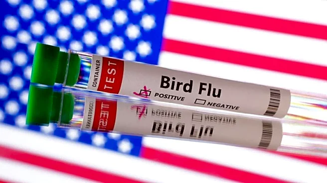 USDA confirms bird flu case in Wisconsin dairy herd as new wildlife spillover