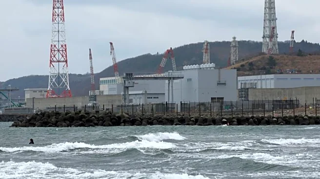 Japan prepares to restart world's biggest nuclear plant, 15 years after Fukushima