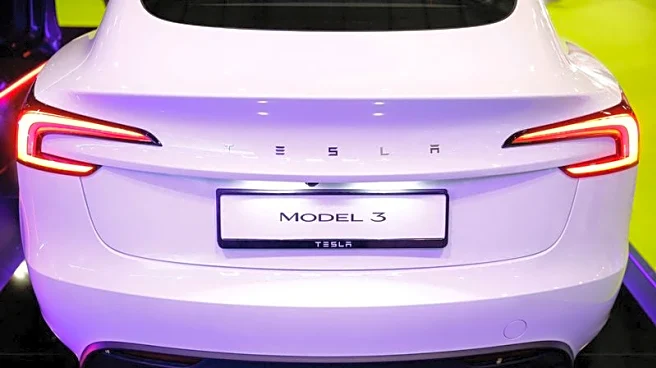 US auto safety agency probes Tesla Model 3 emergency door release