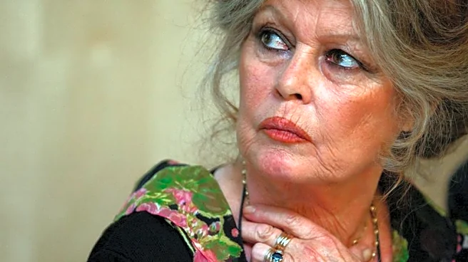 Brigitte Bardot, icon of French cinema, dies at 91