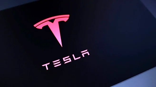 South Korea's L&F slashes value of battery material supply deal with Tesla