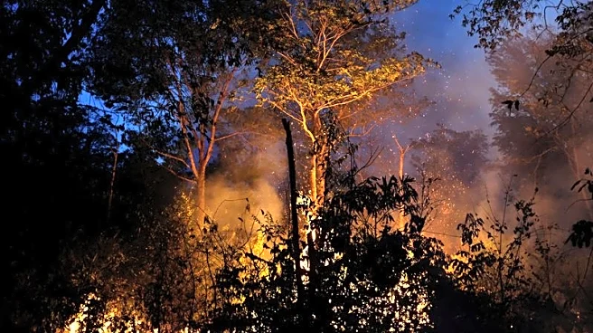 Exclusive-Soy trading firms to abandon Amazon protection pact in Brazil