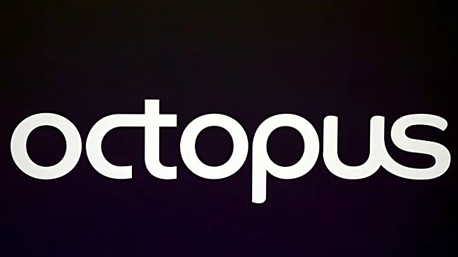 Britain's Octopus Energy to spin out Kraken at $8.65 billion valuation