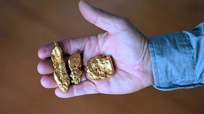 Soaring prices spark Australia gold rush for new generation of fortune hunters