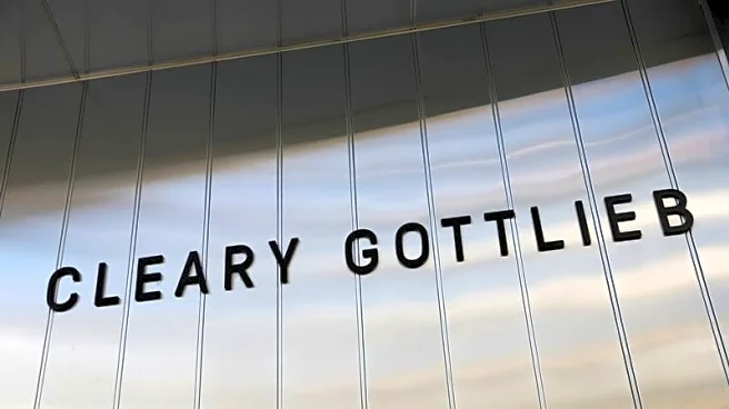 Law firm Cleary Gottlieb hires Alsheimer for activism practice