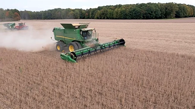 USDA details $12 billion farm aid package favoring rice, cotton; soy farmers warn of strain