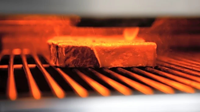 China imposes curbs on beef imports to protect domestic industry