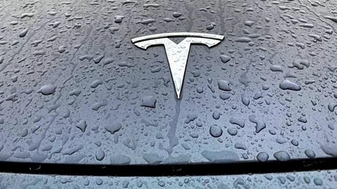 Tesla sales fall in key European markets but set record in Norway