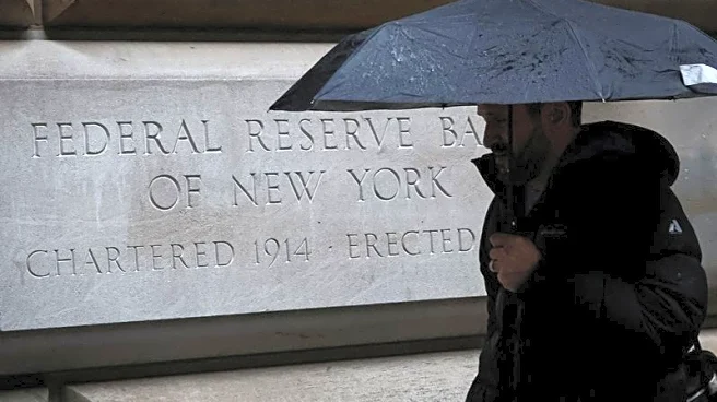 Year end sees record borrowing from Fed's standing repo operation