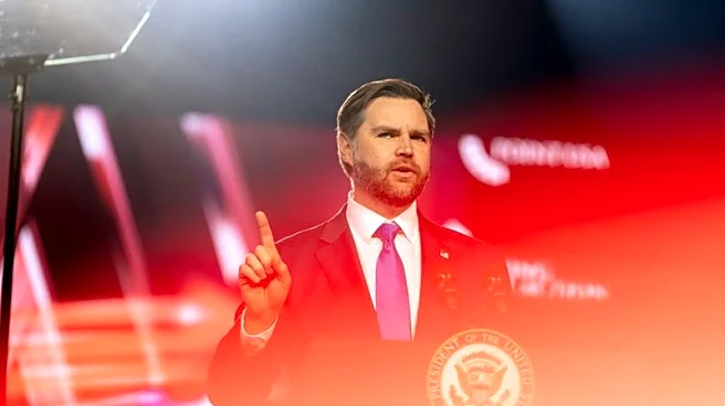 US vice president Vance says crazy person tried to break into his home