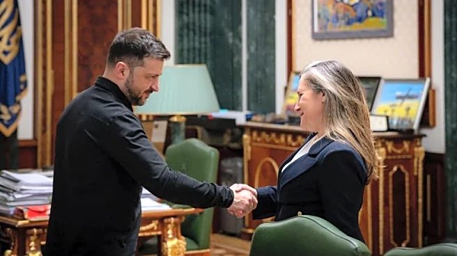 Ukraine's Zelenskiy appoints Canadian ex-deputy PM as economic adviser