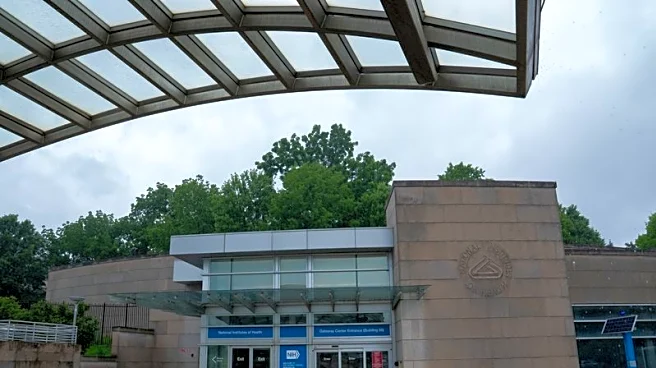 Trump administration cannot slash NIH research funding, court rules