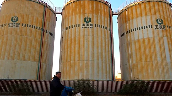 China buys more US soybeans, total purchases near 10 million tons