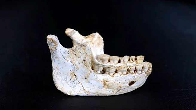 Fossils found in Moroccan cave may be a close Homo sapiens ancestor