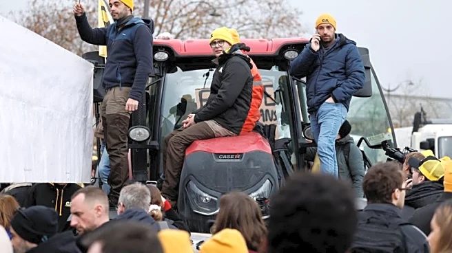 Explainer-Why are French farmers driving their tractors into Paris?