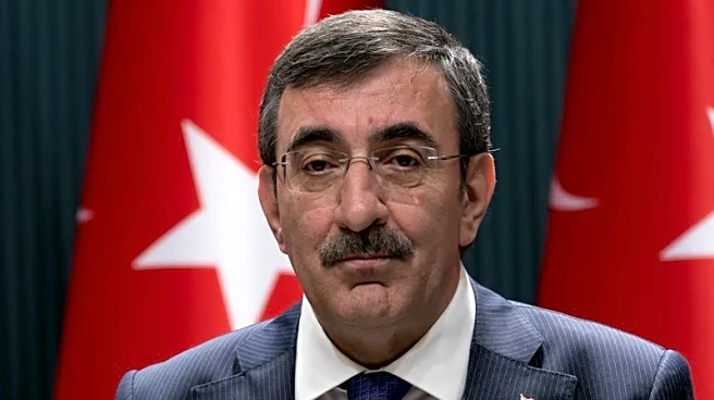 Turkey to forge on with tight economic policy, some fine-tuning, VP Yilmaz says