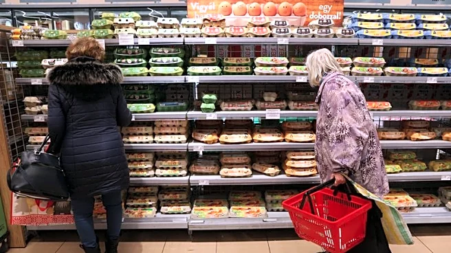 World food prices dip in December but still up in 2025, UN's FAO says