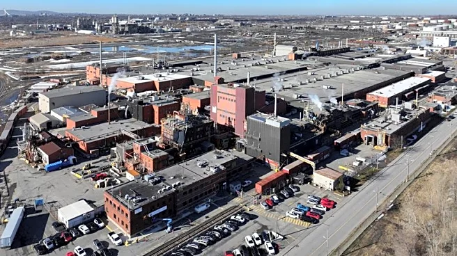 Glencore's trading arm part of the appeal for Rio Tinto in merger talks, sources say