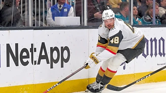 NHL roundup: Tomas Hertl's career night spurs Knights' rout of Sharks