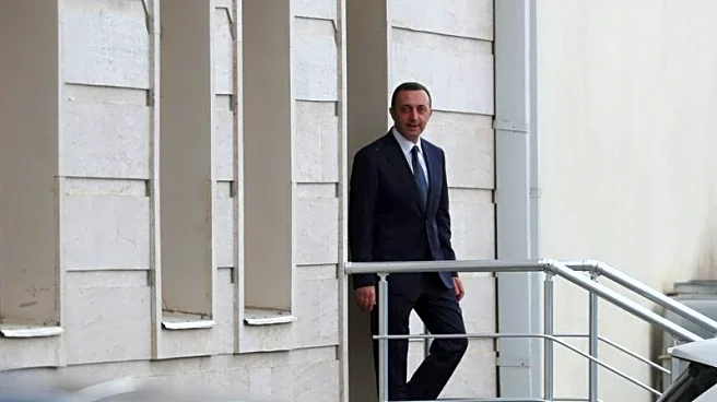 Georgian ex-PM Garibashvili to serve five-year sentence after guilty plea