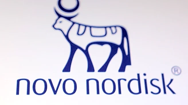 Novo Nordisk CEO flags 1.5 million US users of compounded GLP-1 drugs