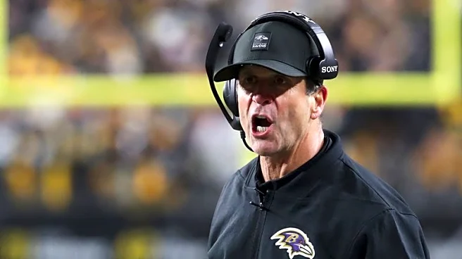 Falcons interview John Harbaugh, Mike McDaniel for head coaching job