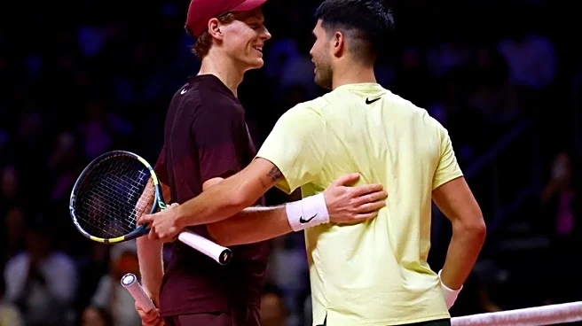 Tennis-Dark horses or also-rans? Australian Open short on genuine contenders