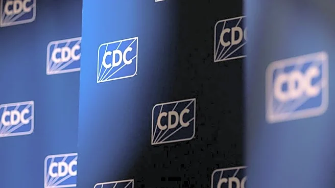 Health secretary Kennedy appoints two new members to CDC's vaccine advisory panel