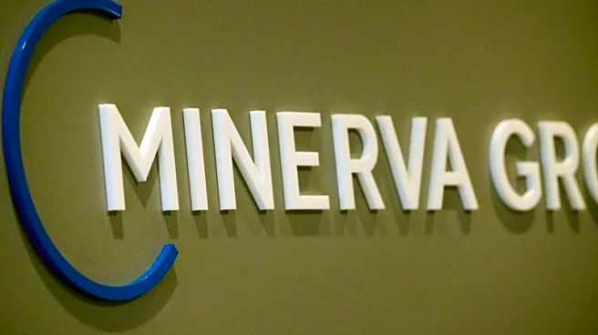 Minerva secures $44 million for Japan late-stage startup fund, source says