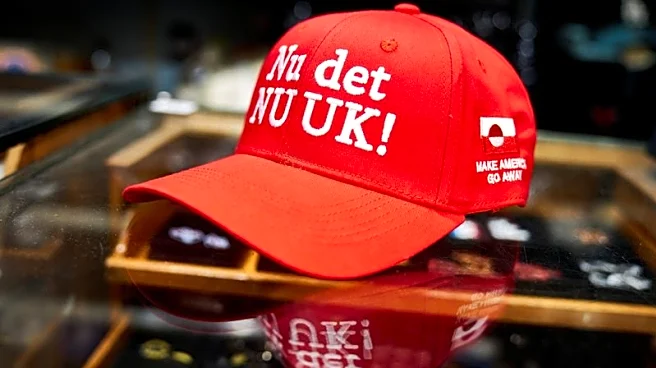 Denmark and Greenland to face Vance in high-stakes White House meeting