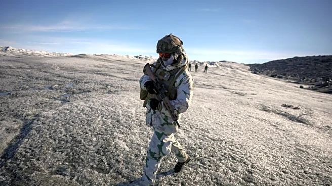 Just one in five Americans support Trump's efforts to acquire Greenland, Reuters/Ipsos poll finds