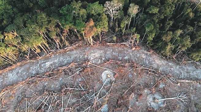 Analysis-Global grain traders' green pledges face skepticism as deal to protect Brazil's rainforest unravels
