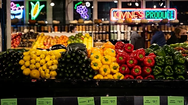 US producer prices increase moderately in November