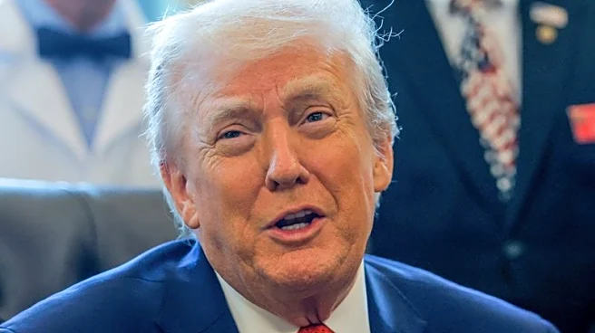 Trump says no critical minerals tariffs for now, will seek overseas supplies