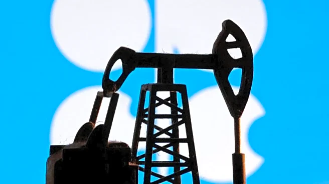 Exclusive-Trump backs Venezuela staying in OPEC