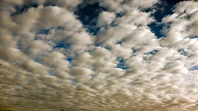 US pressing Mexico to allow US forces to fight cartels, NYT reports