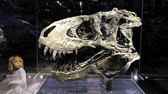 Study finds Tyrannosaurus rex did not reach full size until age 40