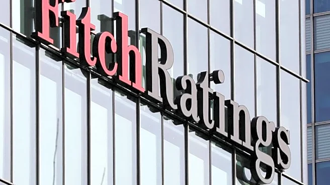 Fitch warns of mass eastern European downgrade if Greenland strife cracks NATO