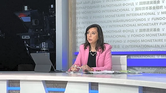 IMF needs voting majority of members to recognize Venezuela government to restore ties