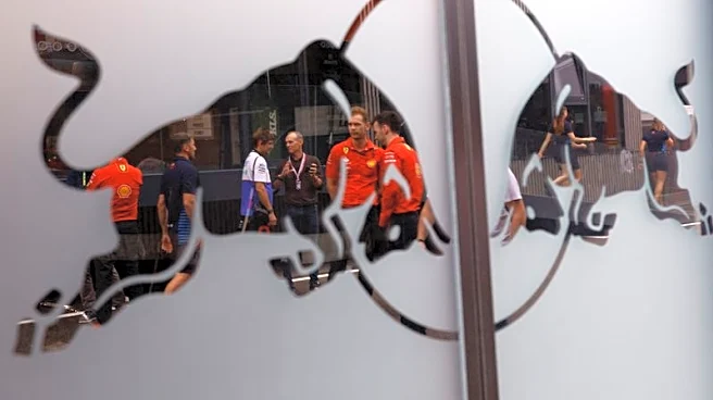 Motor racing-Red Bull say Ford partnership much more than a 'marketing deal'