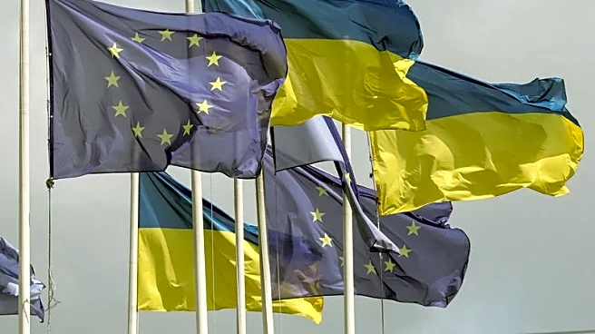 EU executive weighs idea of quick, but limited membership for Ukraine