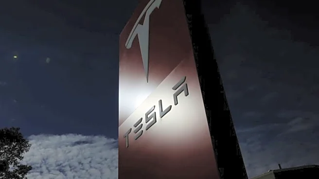 Australia's Syrah Resources buys more time for Tesla graphite supply deal