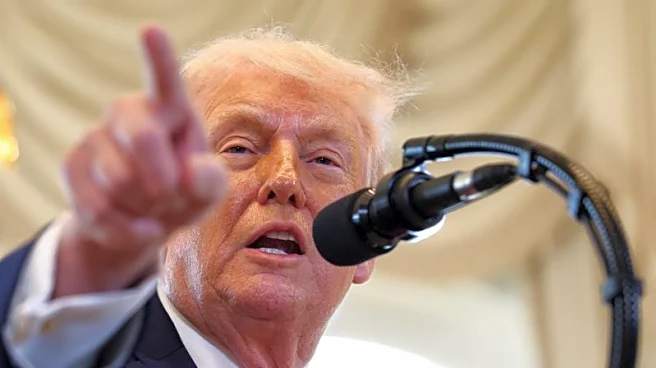 Analysis-A year into his return, Trump wields executive power with few restraints