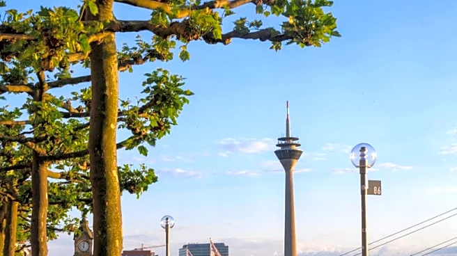 German investor morale jumps to highest level in almost five years, ZEW says