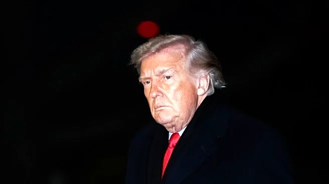 Factbox-US President Trump's proposals to address living costs