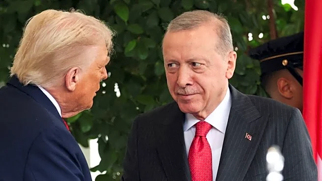 Turkey's Erdogan says discusses Syria, Gaza with Trump in "very good" call