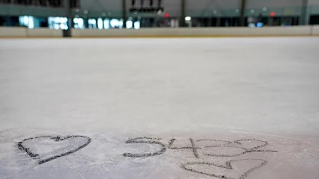 Olympics-'We are a family': US skaters rally in grief as crash anniversary nears