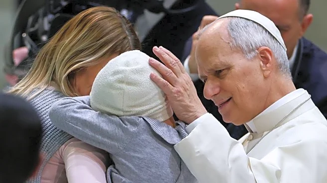 Pope Leo invited to join Trump's 'Board of Peace', cardinal says