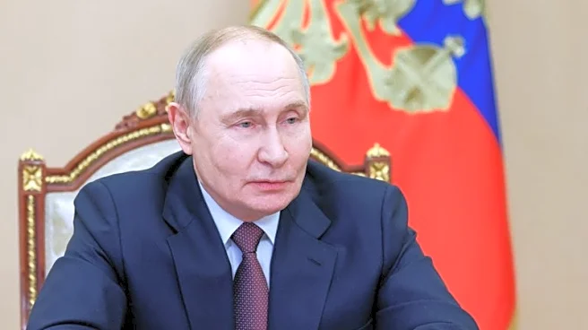 Explainer-What are Russia's frozen assets in US that Putin has offered for Gaza and Ukraine?