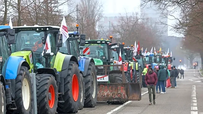 Exclusive-EU-Mercosur deal likely to take effect provisionally from March, says EU diplomat